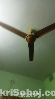 CITY 56 ceiling Fan